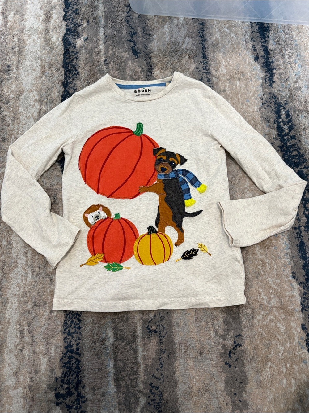 Boden Cream Long-Sleeve Tee with Pumpkin & Puppy Patch